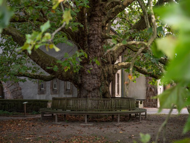 Hauptfriedhof Dortmund – Ausflugstipp für die ganze Familie