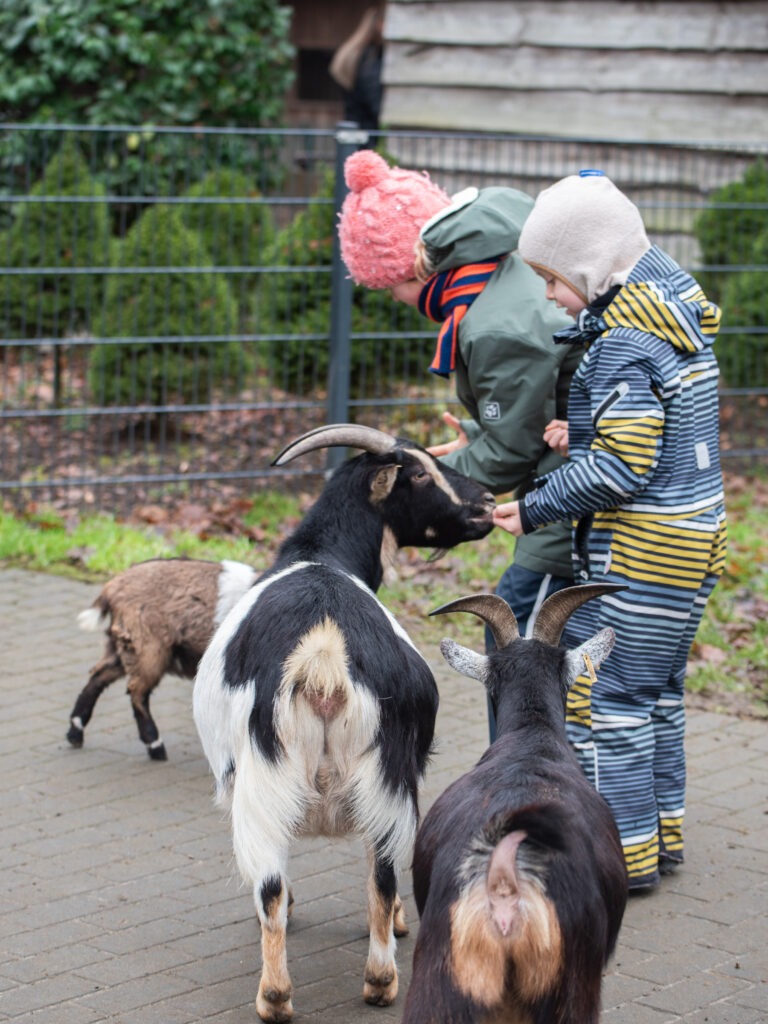 Wildpark Ausflug Dortmund Familien Kinder