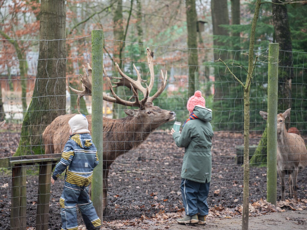 Wildpark Frankenhof Ausflug Dortmund Familien Kinder