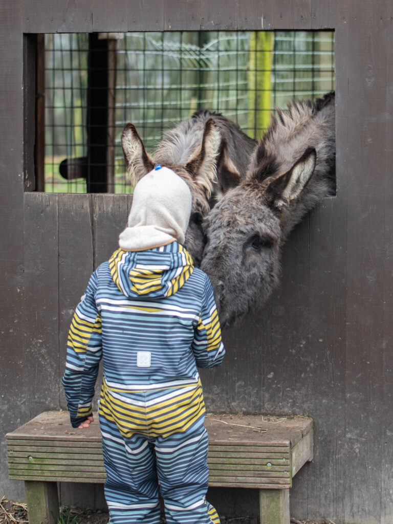 Wildpark Ausflug Dortmund Familien Kinder