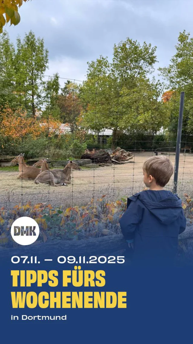Der November bringt bunte Laternen, herbstliche Märkte und spannende Familienaktionen in Dortmund. Dieses Wochenende gibt es wieder viele Möglichkeiten für Kinder und Eltern, gemeinsam kreativ zu werden, spannende Ausstellungen zu entdecken oder Laternenumzüge zu erleben. Hier kommen unsere Tipps für ein abwechslungsreiches Wochenende mit der ganzen Familie.

Freitag, 07.11

* 12:00 bis 18:30 Uhr, Maskottchen-Parade, @thiergaleriedortmund 
* 10:00 bis 18:00 Uhr, Feuer – Eine Ausstellung über Faszination und Gefahr, @dasa_dortmund 
* Ab 13:30 Uhr, unSICHTBAR verbunden. Im Wasser., @mondo_mio_kindermuseum 
* 15:30 Uhr, Bilderbuchkino: Ringo Rabe traut sich was, Stadtteilbibliothek Hörde

Samstag, 08.11

* 08.11. Lichter Kinder @natuerlich_kind 
* 10:00 bis 15:00 Uhr, Herbstmarkt @edgfamilie 
* ab 09:30 Uhr, Tag der offenen Tür @new_modern_dance_center 
* 09:30 bis 14:00 Uhr, Martinsbasar, @brittas.wurzelwerkstatt 
* 15:00 Uhr, Dalia und das rote Buch, @sweetsixteenkino 
* 10:15 Uhr, 1. Sitzkissenkonzert: Flieg, mein Drachen, flieg!, Opernfoyer, @theaterdortmund 
* 11:00 bis 12:00 Uhr, Vorlesestunde auf Ukrainisch für Vorschul- und Grundschulkinder, Auslandsgesellschaft, Steinstr. 48
* 11:00 bis 18:00 Uhr, KunstHandWerk – Markt für schöne Dinge, @zechezollerndortmund 

Sonntag, 09.11

* Laternenumzug, Gut Königsmühle @helpandhopestiftung 
* 17:00 Uhr, Martinszug in Wetter, @stadtmarketing_wetter 
* 13:00 bis 17:00 Uhr, St. Martins-Basteln, @kindermuseum_adlerturm 
* 17:00 Uhr, St. Martins-Umzug, @dortmund.galopp 

🚨Hinweis: Bitte prüft alle Veranstaltungen direkt beim Anbieter – kurzfristige Änderungen sind möglich.

👉 Für mehr Tipps und Familieninspiration in Dortmund: @dortmundmitkind folgen!

wochenendtipp
dortmundmitkind
familienzeit 
wochenendeindortmund