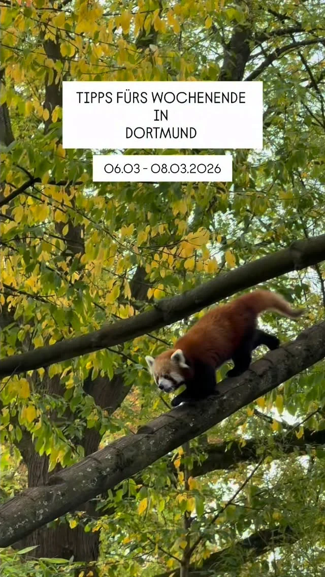 Das Wochenende steht vor der Tür und rund um Dortmund gibt es wieder viele schöne Veranstaltungen für Familien. Von Bilderbuchkino über Flohmärkte bis hin zu Theater und Mitmachaktionen ist für Groß und Klein etwas dabei.

Freitag, 06.03

* 15:30 Uhr, Bilderbuchkino: Meck und Schneck, Ein Löwe ist kein Kuscheltier, Stadtteilbibliothek Hörde
* Feuer, Eine Ausstellung über Faszination und Gefahr, @dasa_dortmund 

Samstag, 07.03

* 10:00 bis 15:00 Uhr, Kindertrödelmarkt im Klimagarten Schwerte, Ioannina Platz 1, @schwerte_stadtmarketing 
* 11:00 Uhr, Müllsammelaktion, Bushaltestelle Am Marksbach 
* 11:00 bis 12:00 Uhr, Vorlesen in ukrainischer Sprache für Kinder, @stlbdortmund 
* 15:00 bis 18:00 Uhr, Jungentag ab 10 Jahren, @treffpunktkezz 

Sonntag, 08.03

* 10:00 bis 13:00 Uhr, Flohmarkt der Kita Möhrenbande, Wittekindstraße 100a
* 11:00 bis 12:30 Uhr, Benefiz Kinder Theater, @soskinderdorfdortmund 
* 11:00 bis 14:00 Uhr, Kamener Elternmesse, Kamen
* 11:00 Uhr, Bilderbuchkino Franziska und die Wölfe, @jugendstil_nrw 
* 14:30 bis 16:30 Uhr, Familiennachmittag, @kindermuseum_adlerturm 
* 18:00 bis 19:30 Uhr, Job Safari, @kjtdortmund 

🚨Hinweis: Bitte prüft alle Veranstaltungen direkt beim Anbieter – kurzfristige Änderungen sind möglich.

👉 Für mehr Tipps und Familieninspiration in Dortmund: @dortmundmitkind folgen!

#wochenendtipp
#dortmundmitkind
#familienzeit 
wochenendeindortmund