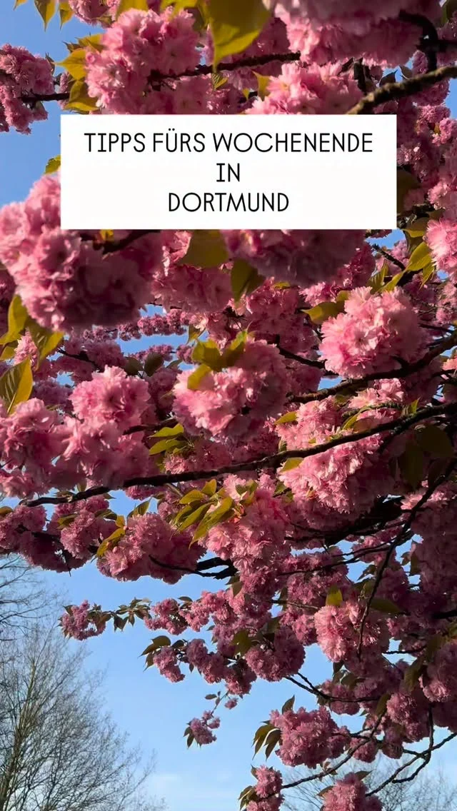 Der Frühling ist spürbar angekommen und mit ihm viele bunte Veranstaltungen für Familien in Dortmund und Umgebung. Ob Flohmärkte, Theater, Konzerte oder kreative Märkte, dieses Wochenende bietet zahlreiche Möglichkeiten für gemeinsame Erlebnisse.

Freitag, 20.03

* 18:00 Uhr, Das Gasthaus an der Ruhr, Krimikomödie ab 10 Jahren, @theateramfluss_schwerte 

Samstag, 21.03

* 09:00 bis 12:00 Uhr, Trödelmarkt rund ums Kind, Katholische Kirchengemeinde St Martin, Am Zehnthof 152
* 10:00 bis 13:00 Uhr, Trödelmarkt Familienzentrum Evangelische Kita Barop, Stockumer Straße 275
* 10:00 bis 14:00 Uhr, Flohmarkt, Katholische Kita St Clemens Hombruch, Kuntzestraße 99
* 10:00 bis 14:00 Uhr, Frühlingsmärktchen und Flohmarkt im Hof, @brittas.wurzelwerkstatt 
* 10:00 bis 14:00 Uhr, Kinderflohmarkt, Kita Heilig Kreuz, Liebigstraße 49
* 11:00 bis 16:30 Uhr, Frühlingsfest auf der Distelwiese, Werkstätten Gottessegen
* 14:00 bis 17:30 Uhr, Kreativ und Ostermarkt, Bürgerhaus Methler, Kamen
* 14:00 bis 18:00 Uhr, Kinderkleider und Spielzeug Trödelmarkt, Evangelisches Gemeindehaus Sölle, Söldnerstraße 84a
* Frühlingsbasar, Fabido Tiefe Mark, Tiefe Mark 72
* HEAVYSAURUS Metal Tour 2026, @fzw_dortmund 

Sonntag, 22.03

* Ab 10:00 Uhr, 2. Frühlings Cup, @kanukids_fs98 
* 10:00 bis 14:00 Uhr, Kinderflohmarkt, Johanniter Kita, Kobbendelle 2a
* 11:00 bis 14:00 Uhr, Flohmarkt, @wolkenzimmer.herdecke 
* 11:00 bis 15:00 Uhr, Pidos Kinderkram Flohmarkt, @kulturort_depot_dortmund 
* 11:00 bis 15:00 Uhr, Kinderflohmarkt, @hofmenken 
* 11:30 Uhr, Familientag, @zechezollerndortmund 
* 15:00 Uhr, Stille Post, @literaturhaus.dortmund 

🚨Hinweis: Bitte prüft alle Veranstaltungen direkt beim Anbieter – kurzfristige Änderungen sind möglich.

👉 Für mehr Tipps und Familieninspiration in Dortmund: @dortmundmitkind folgen!

#wochenendtipp
#dortmundmitkind
* #familienzeit 
* wochenendeindortmund