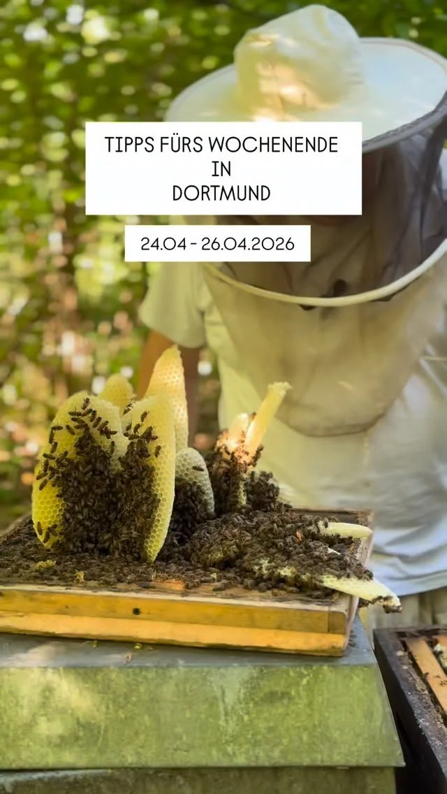 Der Frühling zeigt sich weiter von seiner bunten Seite und auch dieses Wochenende bietet in Dortmund und Umgebung wieder viele schöne Möglichkeiten für Familien. Von Festivals und Mitmachaktionen über Theater und Filme bis hin zu Flohmärkten und kreativen Workshops ist für jedes Alter etwas dabei. 

Freitag, 24.04

* 09:00 bis 11:00 Uhr, Elternfrühstück, DRK Familienzentrum an der Stipskuhle 44
* 16:00 bis 16:45 Uhr, KinderUni, Was ist ein Denkmal, Campus Stadt der TU Dortmund im Dortmunder U
* 16:30 Uhr, Stop Motion Filmprojekt, Das Land der Träume, @erlebniswelt_am_fredenbaum 
* 18:00 bis 22:00 Uhr, Festival of Cultures, @tu_dortmund 

Samstag, 25.04

* Internationales Kinderfest, @keuninghausofficial 
* 12:00 bis 16:00 Uhr, Kindersachen Flohmarkt der Kita Viktoria, Viktoriastraße 10, Lünen
* 14:00 bis 17:00 Uhr, Trödel rund ums Kind, Pfarrzentrum der Libori Gemeinde, Paderborner Straße 136, DO-Körne
* 14:00 bis 17:00 Uhr, Textilwerkstatt für Kinder und Erwachsene, Färben und Drucken, Museum Ostwall
* Mondos Atelier, Blütendruck und Blumenmalerei, @mondo_mio_kindermuseum 

Sonntag, 26.04

* 11:00 Uhr, Der Regenbogenfisch, @theaterfletchbizzel 
* 11:00 bis 13:00 Uhr, Trödelmarkt auf dem Schulhof der Dietrich Bonhoeffer Grundschule
* 11:00 bis 14:00 Uhr, Familiensonntag, Hainallee 40, Christengemeinschaft Dortmund
* 11:00 bis 14:00 Uhr, Kinderbasar im Evangelischen Kindergarten Unter dem Apfelbaum, Flemerskamp 122
* 11:00 bis 16:00 Uhr, Frühlingsfest und Flohmarkt, Union Gewerbehof
* 11:00 bis 16:00 Uhr, Flohmarkt, Gut Königsmühle
* 11:00 bis 16:00 Uhr, Familienflohmarkt, Galopprennbahn Dortmund
* 11:00 bis 18:00 Uhr, Flohrian Trödelmarkt, Westfalenpark
* 11:30 Uhr, Familiensonntag, @zechezollerndortmund 
* 14:00 Uhr, Detektiv Rallye für Klein und Groß, @stadtmarketing_wetter 
* 15:00 Uhr, Kinderwelten, Das Parlament der Tiere, @literaturhaus.dortmund 

🚨Hinweis: Bitte prüft alle Veranstaltungen direkt beim Anbieter – kurzfristige Änderungen sind möglich.

👉 Für mehr Tipps und Familieninspiration in Dortmund: @dortmundmitkind folgen!

#wochenendtipp
#dortmundmitkind
* #familienzeit 
* wochenendeindortmund